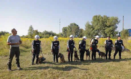Поля на Харківщині розміновуватимуть кінологині з собаками