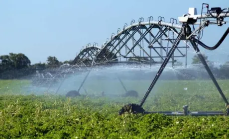 Компанія HarvEst планує використати міські стічні води для зрошення полів