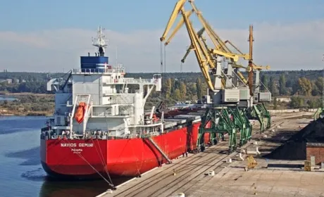 Україна експортувала більше 3 млн т зерна нового врожаю