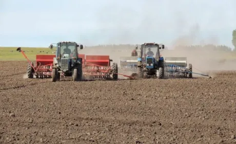 Аграрії Дніпропетровщини виконали майже 30% робіт із посіву озимих
