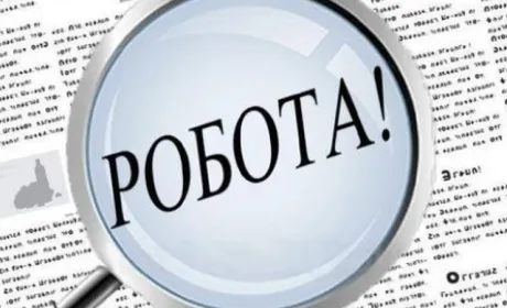 Агрономи, касири, кур’єри: які професії наразі найбільш затребувані на ринку праці