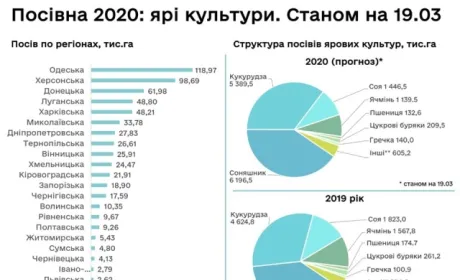 Посівна стартувала у всіх областях, — Мінекономіки