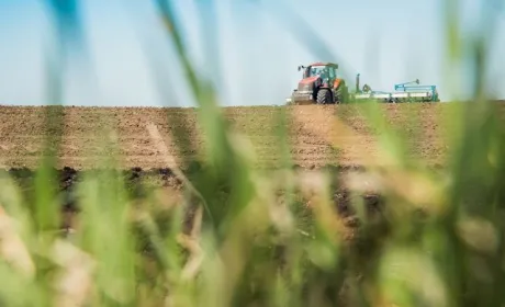 Група «АГРОТРЕЙД» розпочала посівну кампанію соняшника, кукурудзи та гірчиці