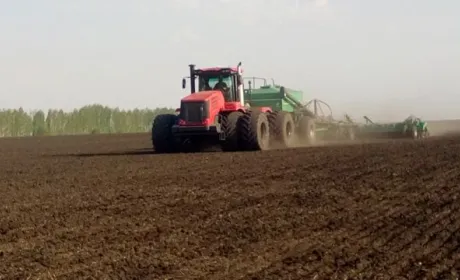 На Чернігівщині закінчили сіяти озимину