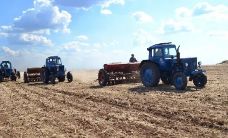 Посівна площа на Дніпропетровщині практично не зміниться