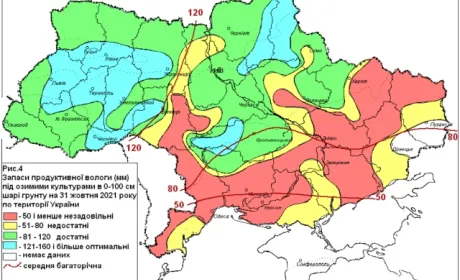 В Україні та Росії погода не сприяє розвитку озимини, а Південна Америка прискорює сівбу