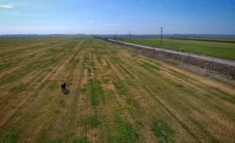 Одеські фермери, які постраждали від посухи, отримали перші 125 тонн зерна на посівну