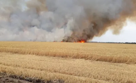 На Херсонщині іскра від приміського потягу спалила поле пшениці