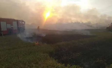 На Херсонщині фермеру спалили вже четверте поле з врожаєм