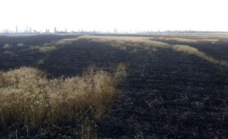 Пожежники Миколаївщини рятують поля від вогню