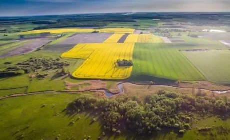 П’ять кроків для оформлення права власності на пай у 2023 році