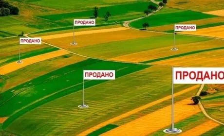 Як Косюк «хакнув» земельну реформу