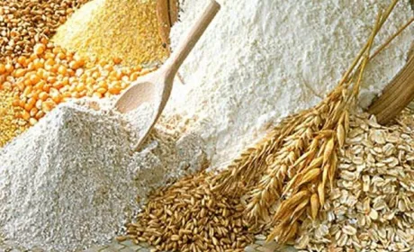 Україна повністю забезпечена продовольчим зерном