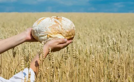 Україна засвідчила свій статус надійного гаранта продовольчої безпеки, – міністр