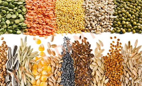 Фермери Тернопільщини тепер можуть віддавати кредити продукцією