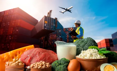 Україна заборонила або обмежила експорт низки продуктів