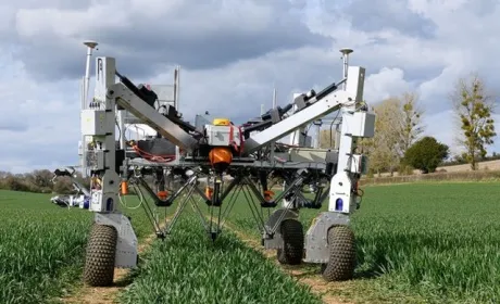 У Британії запустили проєкт SprayBot з точного застосування фунгіцидів