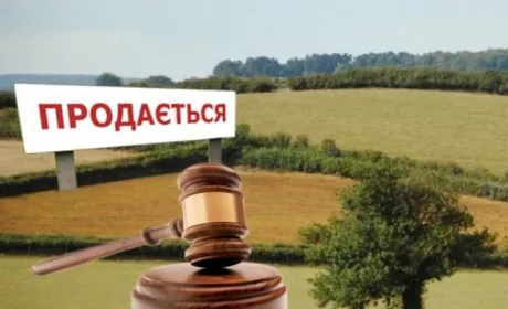 На земельних аукціонах організатори заробили понад 800 тис. грн