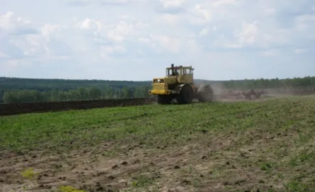 1,2 млрд грн збитків через незаконну передачу земель «Пуща-Водиці» — підозрюють екскерівника Держгеокадастру Київщини