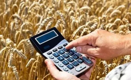 Зниження портових зборів дозволить зменшити вартість продукції аграріїв на внутрішньому ринку, — Козаченко