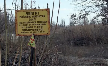 Як незаконно обробляються тисячі гектарів радіоактивно забруднених земель