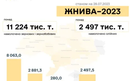 В Україні зібрали понад 11 млн тонн ранніх зернових