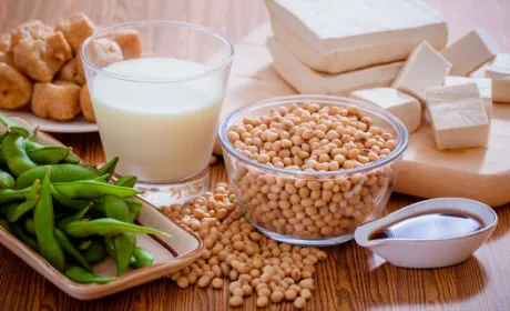 Radicle Growth і Syngenta започаткували конкурс щодо збільшення виробництва рослинного білка The Radicle Protein Challenge