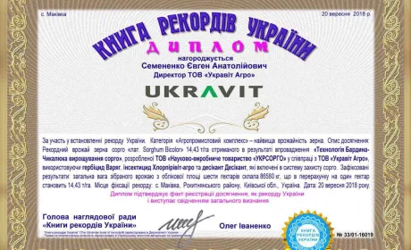 Рекордний врожай сорго з «UKRAVIT»
