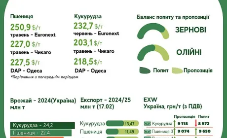 Тижневий тренд на ринку зернових та олійних з 10 по 18 лютого від AgroMarket UUB