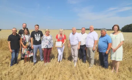 В Україні зафіксовано новий рекорд урожайності пшениці