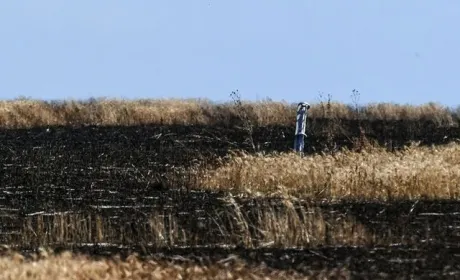 На рекультивацію пошкоджених війною ґрунтів потрібні десятиліття