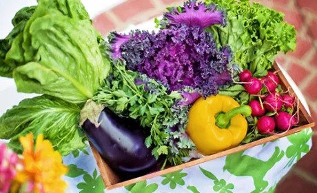 Експорт органічної продукції втричі більший за внутрішній споживчий ринок в Україні