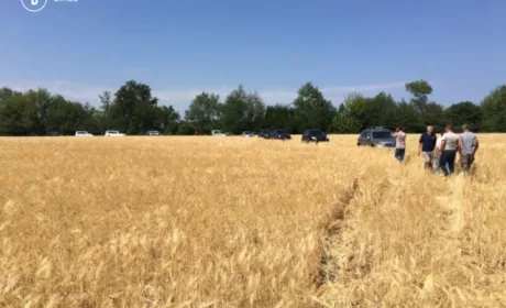 Шлейф “опозиції”: хто “рулить” рейдерськими історіями Кіровоградщини