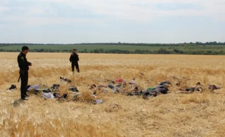 Поліція пропонує фермерам рецепт від рейдерських атак – замовлення послуг охорони