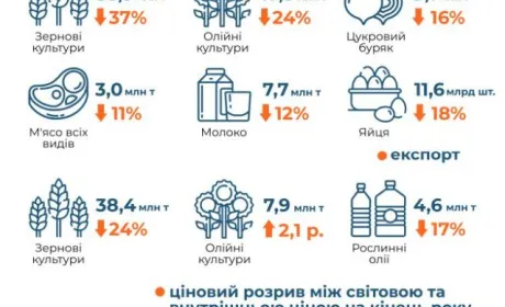 Як агросектор прожив рік війни – підсумки в цифрах