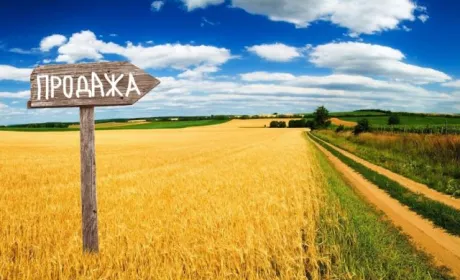 Ринок землі по-справжньому запрацює через декілька років, – думка експерта
