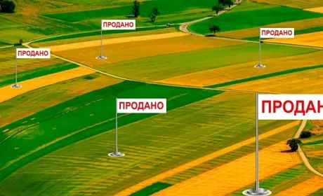 За рік роботи ринку земля подорожчала на 30%