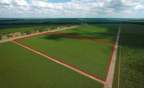 Земля — безпрограшний актив для інвестицій