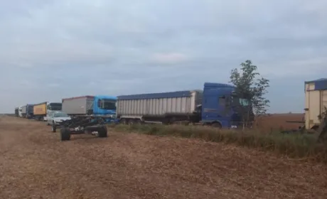 На Рівненщині запобігли незаконному обмолоту та крадіжці зернових культур