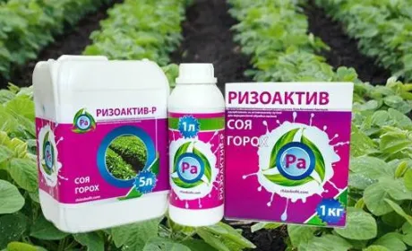 Бізнес-проект «Ризоактив» запрошує 17 лютого на семінар