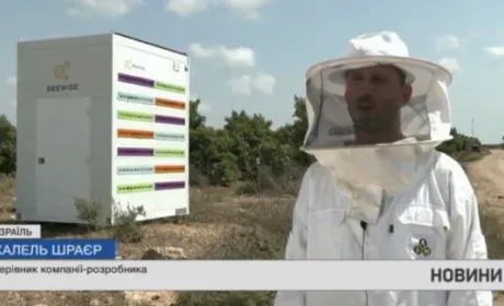 В Ізраїлі відновлюють популяцію бджіл за допомогою вуликів-роботів