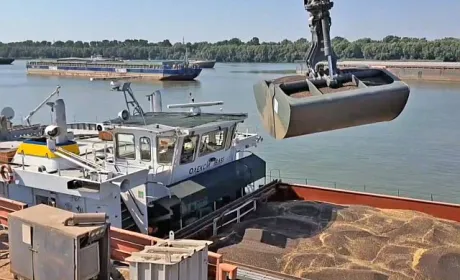 Розблокування порту Миколаєва: зниження витрат на експорт зерна та збільшення потужності агроекспорту
