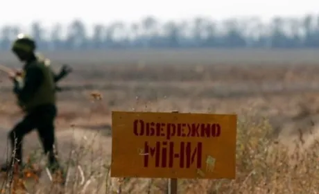 «Нібулон» займеться розмінуванням територій