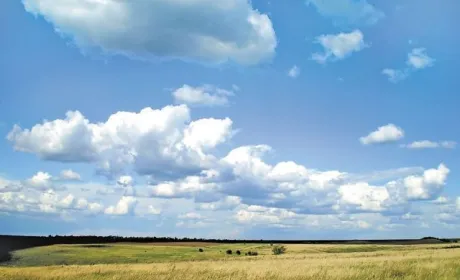 Відкрито кримінальні справи за розорювання 4 заказників на Кіровоградщині