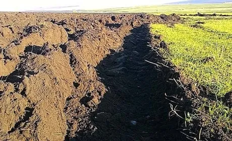 Фермерське господарство на Львівщині самовільно використовувало 12 га землі