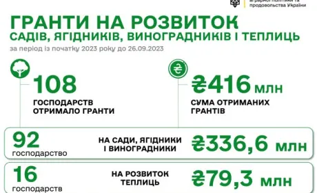 Цьогоріч на розвиток садів і теплиць держава виплатила 416 млн грн