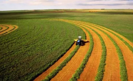 Програми USAID оголосила конкурс з оцінки розвитку земельного ринку
