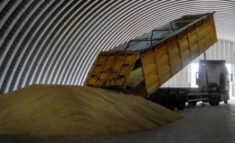 В Румунії оприлюднили правила імпорту зерна з України