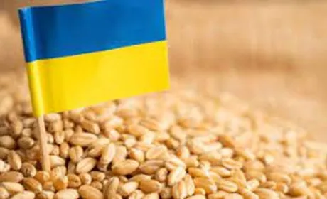 Румунія готова допомогти з транзитом українського продовольства
