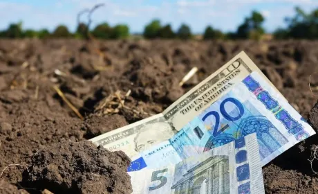 Продано майже чверть мільйона гектарів сільськогосподарських земель